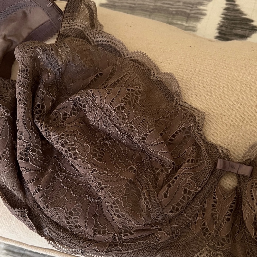 Felina Lace Women's Intimate in Brown